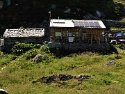 Bocchetta di Budria-Monte Azzaredo ad anello fiorito-10lu22 - FOTOGALLERY